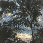 Image Alt 1