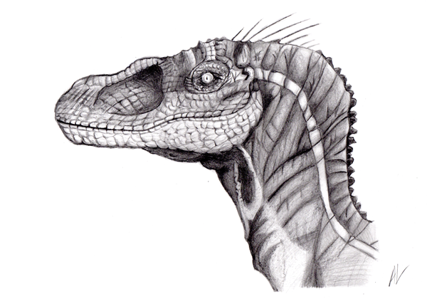 Anthony Li. - Graphite Velociraptor
